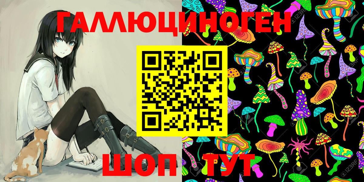Киселёвск  Псилоцибиновые грибы мухоморы  Вход с VPN 