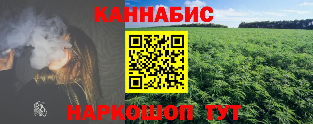 Киселёвск  Канабис тримм  Вход с VPN  Конопля THC 21%  Бошки Шишки Ganja 